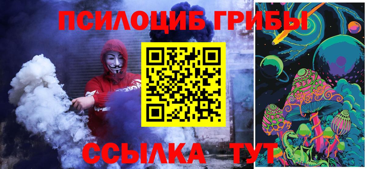 Галлюциногенные грибы Psilocybe  Вход с VPN  Долгопрудный 